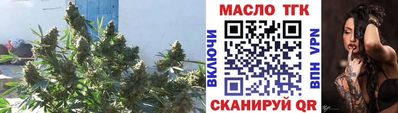 Дистиллят ТГК THC oil  Новосиль 