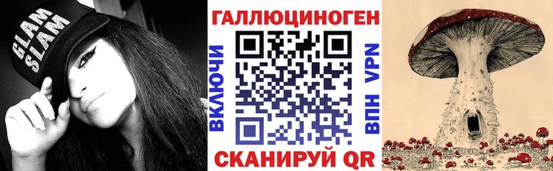 OMG как войти  наркотики  Новосиль  Псилоцибиновые грибы прущие грибы 